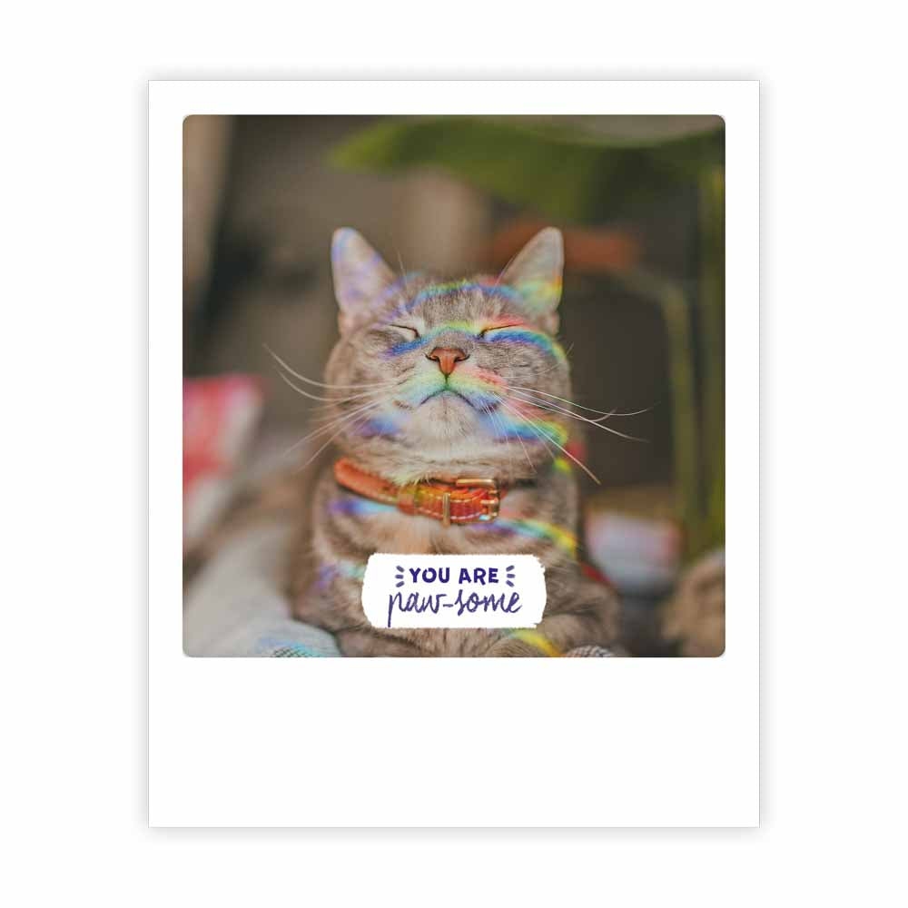 pickmotion-postkarte-you-are-paw-some-sofortbild-stil image 1
