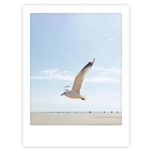 pickmotion-art-poster-fly-away-with-me-mit-echtglas-rahmen image 1