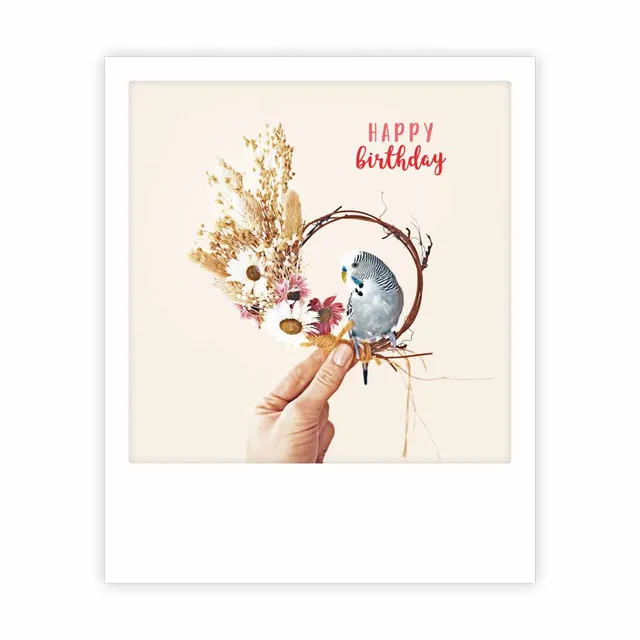 pickmotion-postkarte-happy-birthday image 1