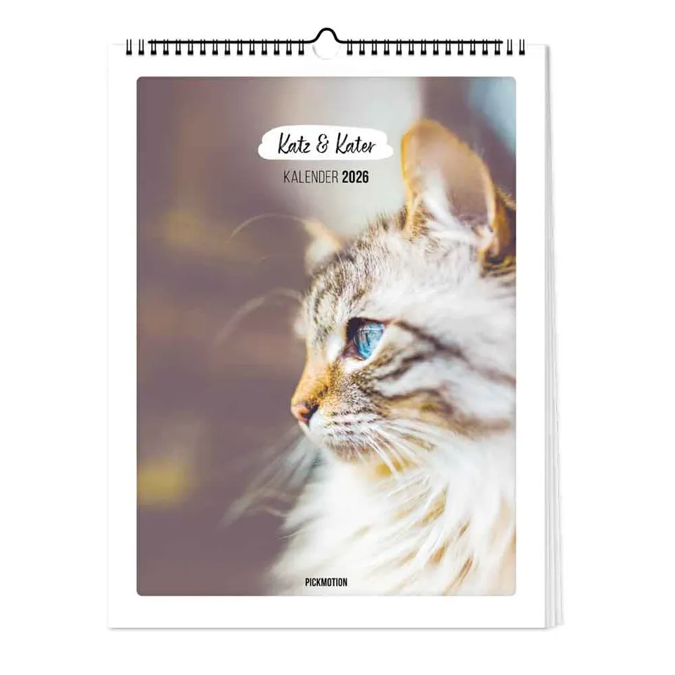 pickmotion-katz-kater-kalender-2026-wandkalender-30x40-cm image 1