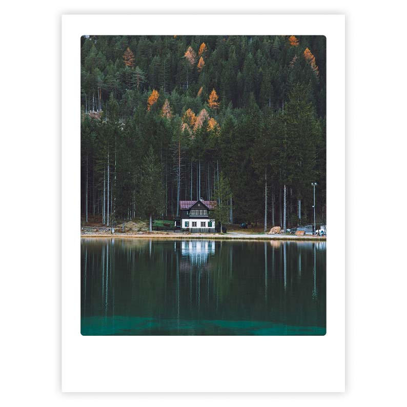 pickmotion-art-poster-house-in-the-forest-mit-echtglas-rahmen image 1