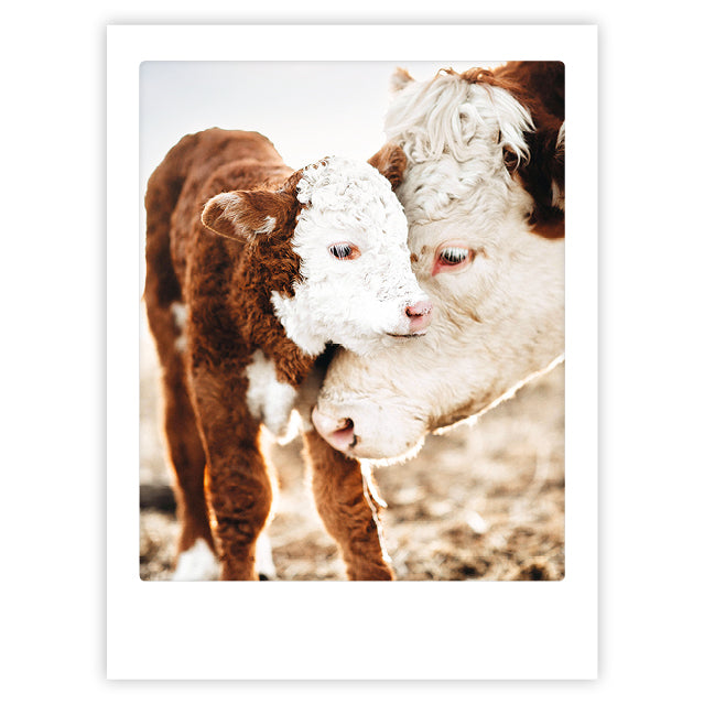pickmotion-art-poster-a-mothers-love-mit-echtglas-rahmen image 1