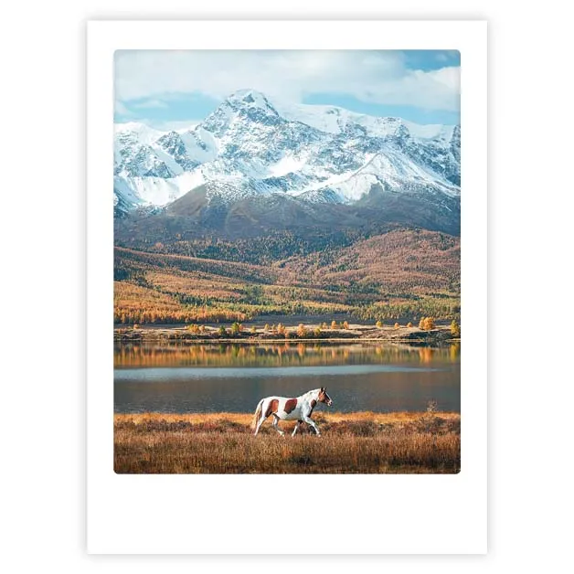 pickmotion-art-poster-the-wild-horse-mit-echtglas-rahmen image 1