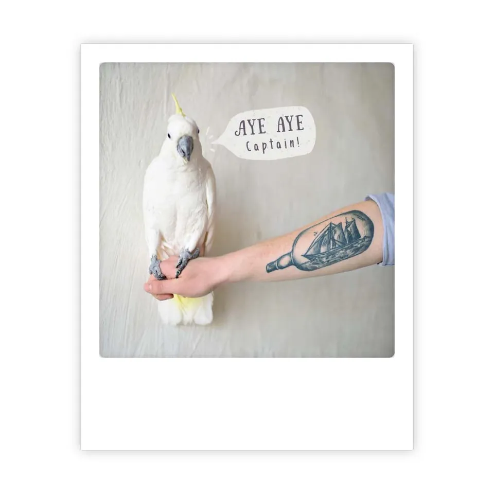 pickmotion-postkarte-aye-aye-captain image 1