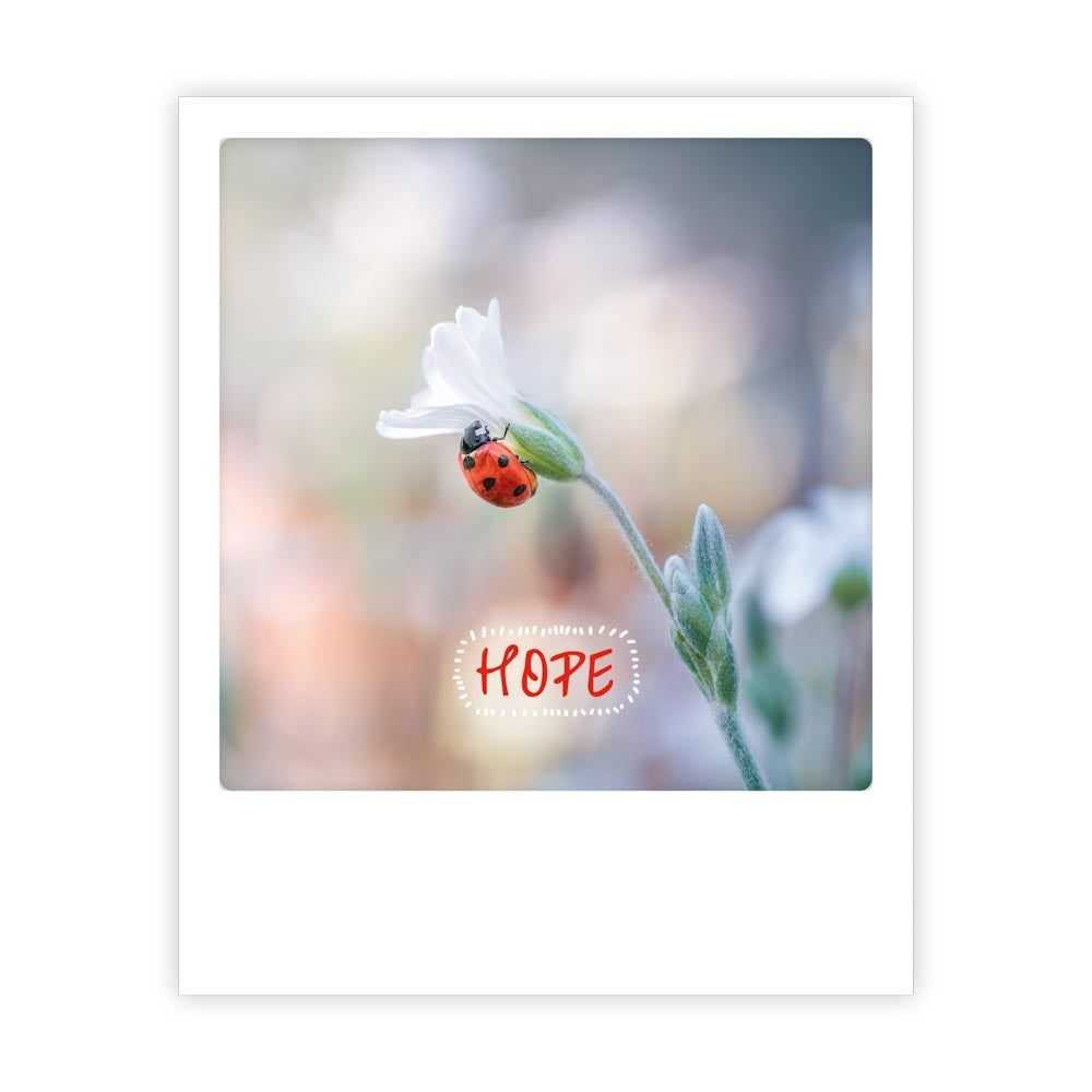 pickmotion-postkarte-hope-sofortbild-postkarte-mit-spruch image 1