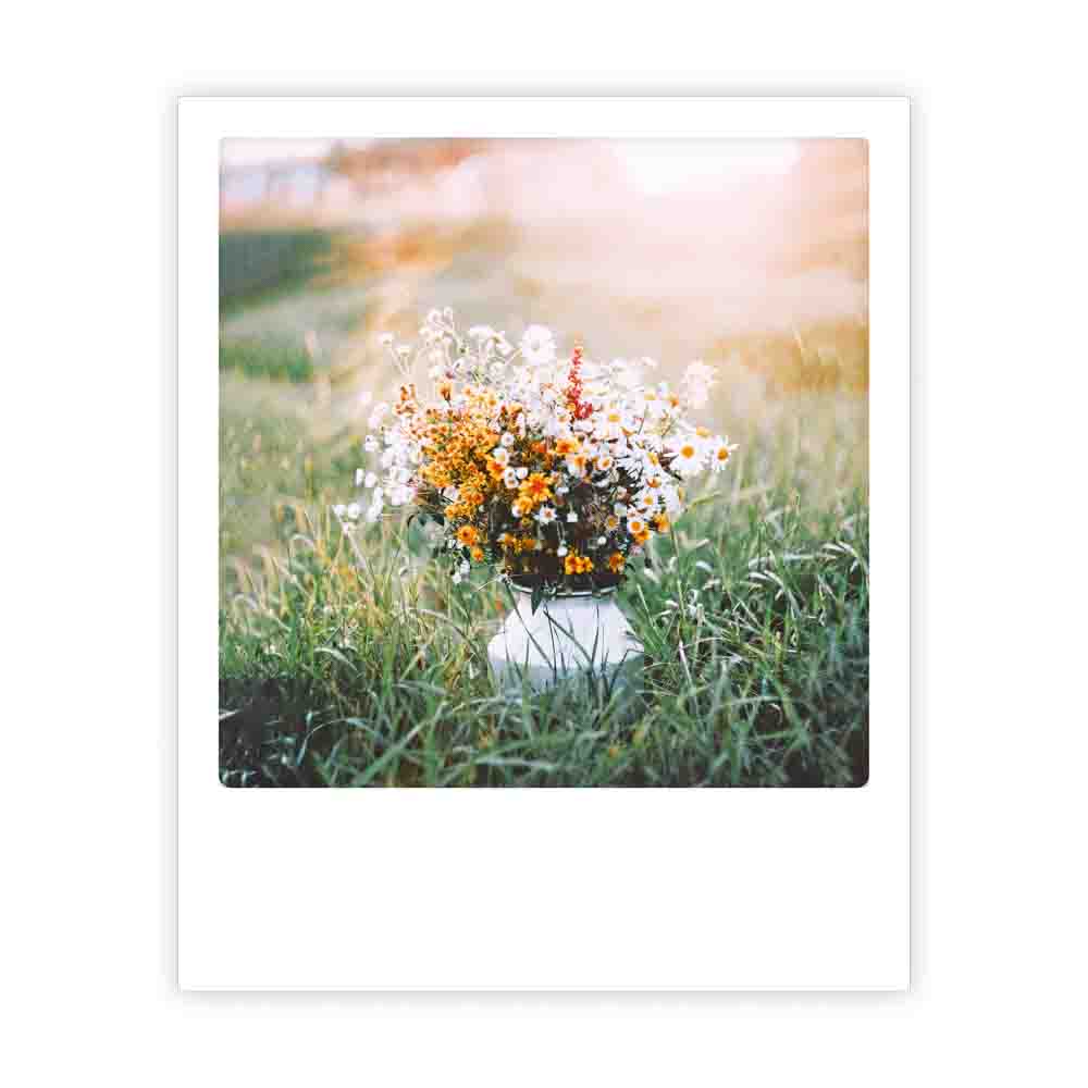 pickmotion-postkarte-wildblume-blumengru-karte-natur image 1