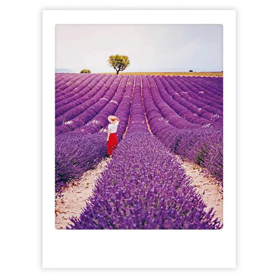 pickmotion-lavender-fields-art-poster-mit-echtglas-rahmen image 1
