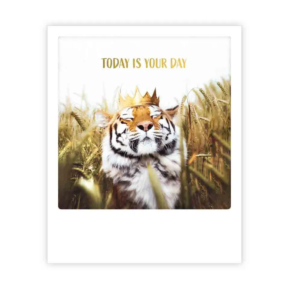 pickmotion-postkarte-today-is-your-day-tiger image 1