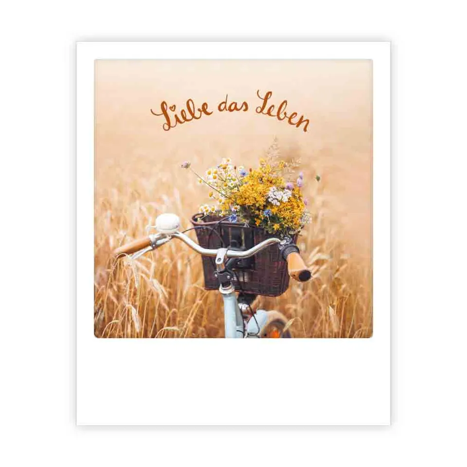 pickmotion-postkarte-liebe-das-leben-fahrrad-einzelmotiv image 1