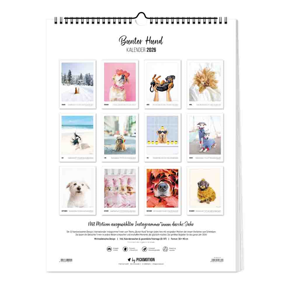 pickmotion-bunter-hund-kalender-30x40-2026 image 4
