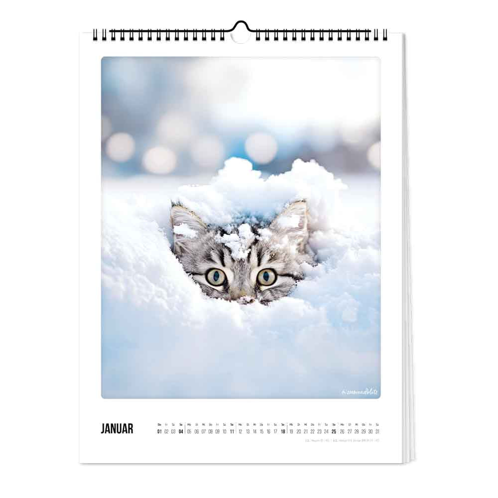 pickmotion-katz-kater-kalender-2026-wandkalender-30x40-cm image 2
