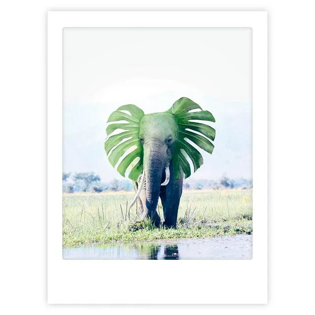 pickmotion-art-poster-life-is-magical-mit-echtglas-rahmen image 1
