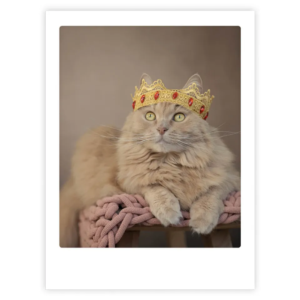 pickmotion-furry-queen-art-poster-mit-echtglas-rahmen image 1