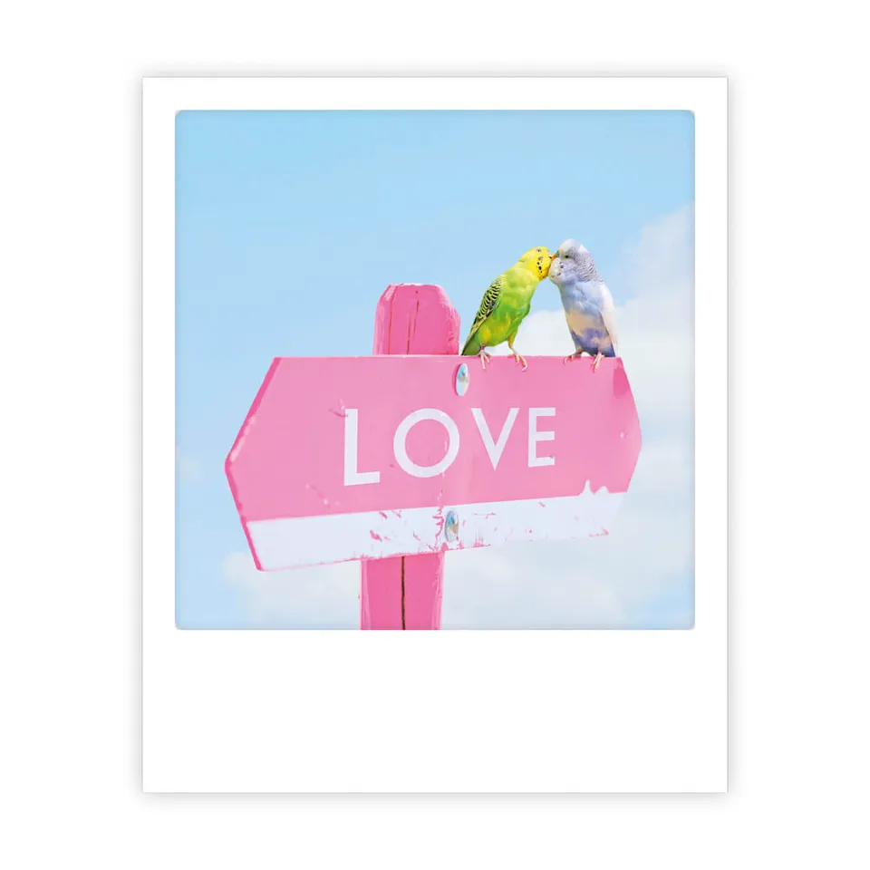 pickmotion-postkarte-love-birds-fotopostkarte-im-sofortbild-stil image 1