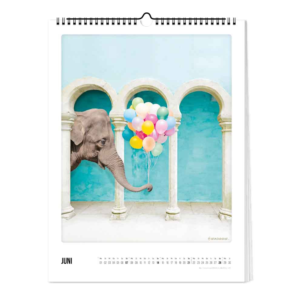 pickmotion-zauberhafte-welt-kalender-2026-30x40 image 2