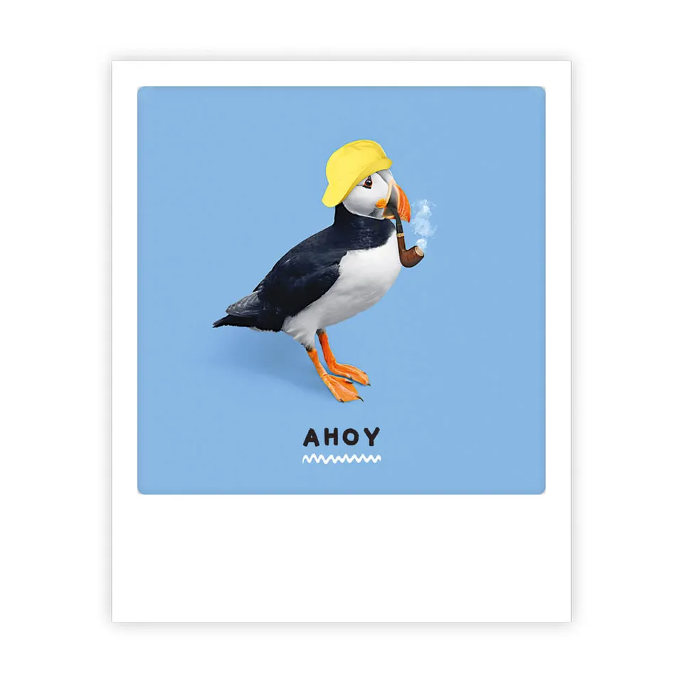 pickmotion-ahoy-puffin-postkarte image 1