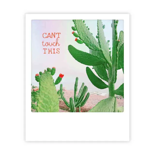 pickmotion-can-t-touch-this-cactus-postkarte-im-sofortbild-stil image 1