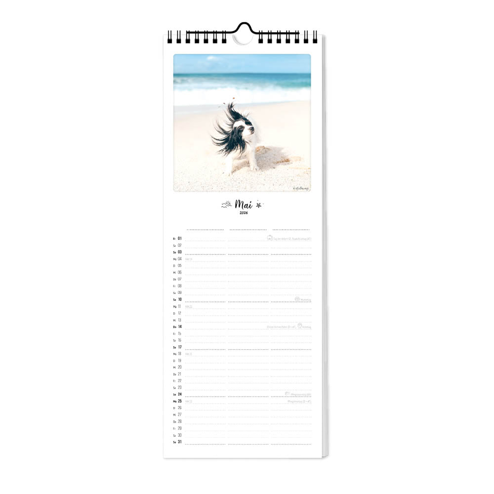 pickmotion-planer-bunter-hund-2026-format-15x40-cm image 2
