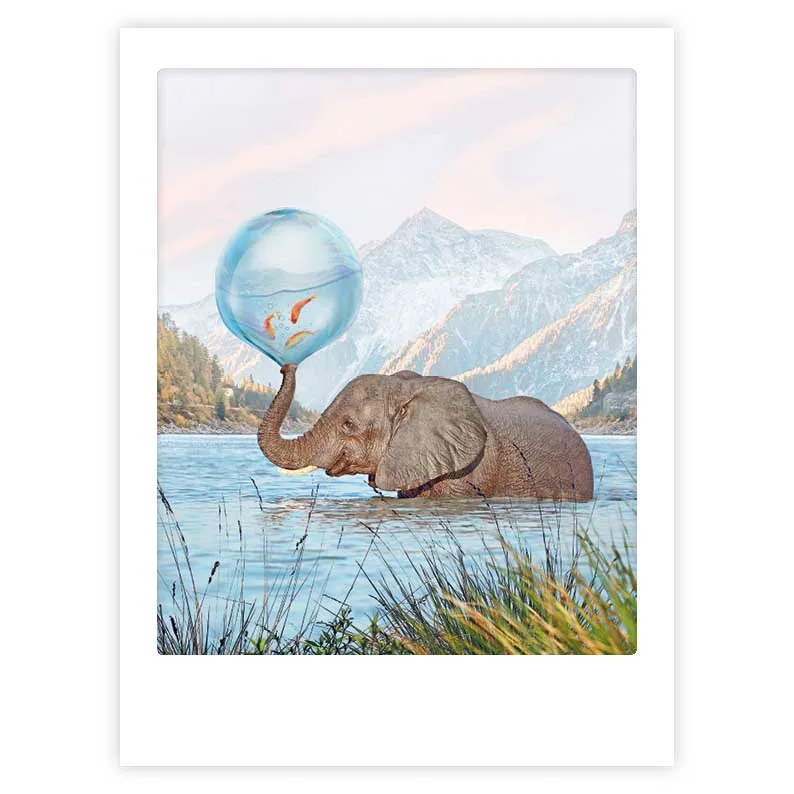 pickmotion-splish-splash-art-poster-mit-echtglas-rahmen image 1