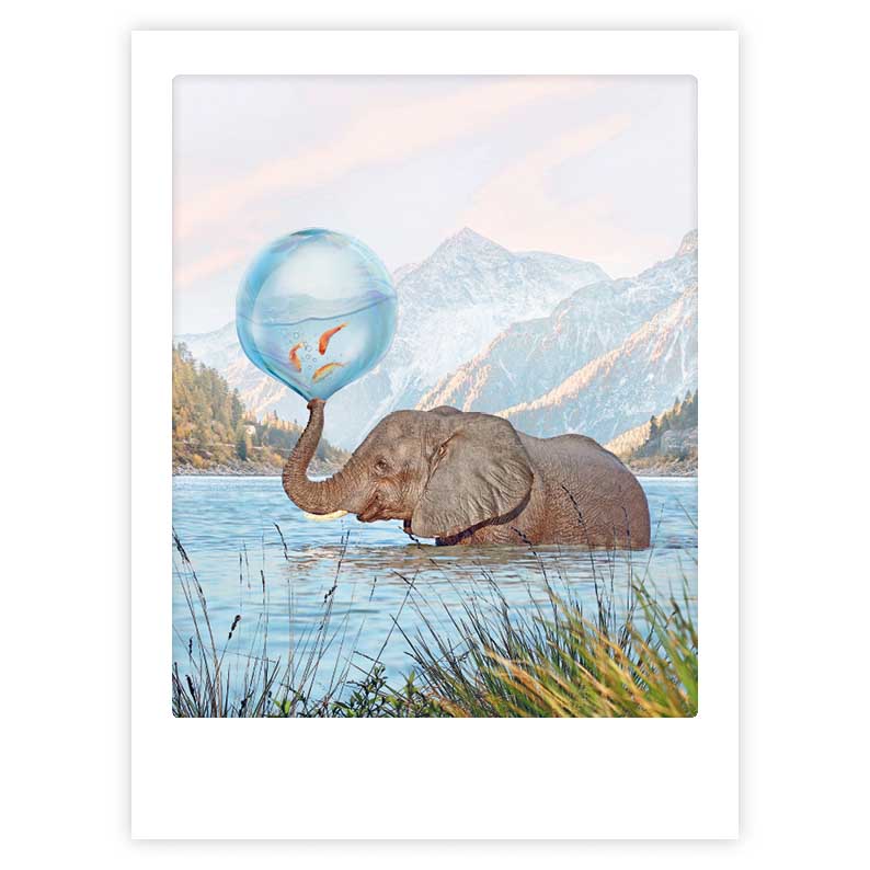 pickmotion-splish-splash-art-poster-mit-echtglas-rahmen image 1