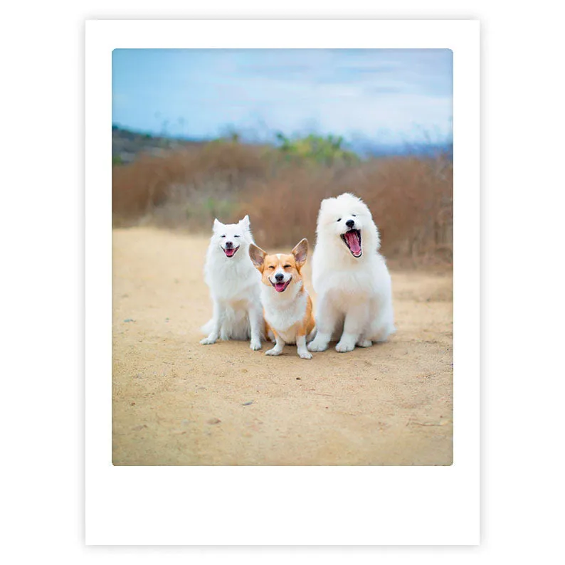 pickmotion-freunde-f-rs-leben-art-poster-mit-echtglas-rahmen image 1