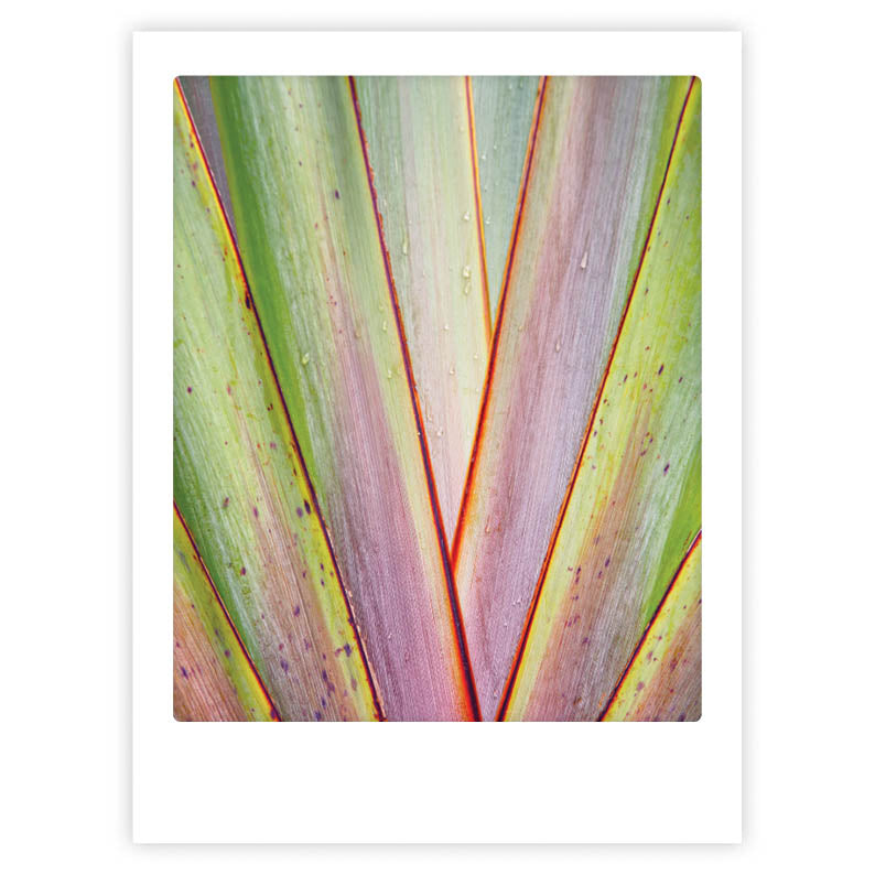 pickmotion-art-poster-nature-pattern image 1