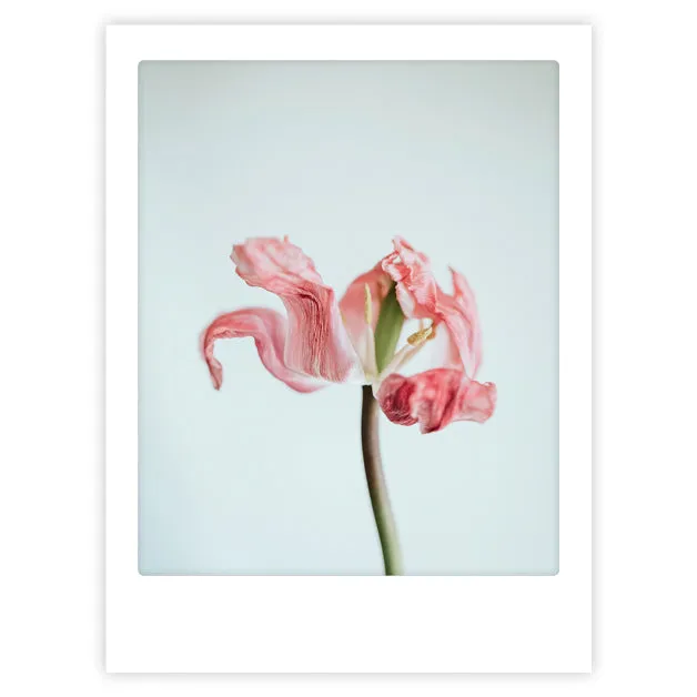 pickmotion-quiet-beauty-art-poster-mit-echtglas-rahmen image 1
