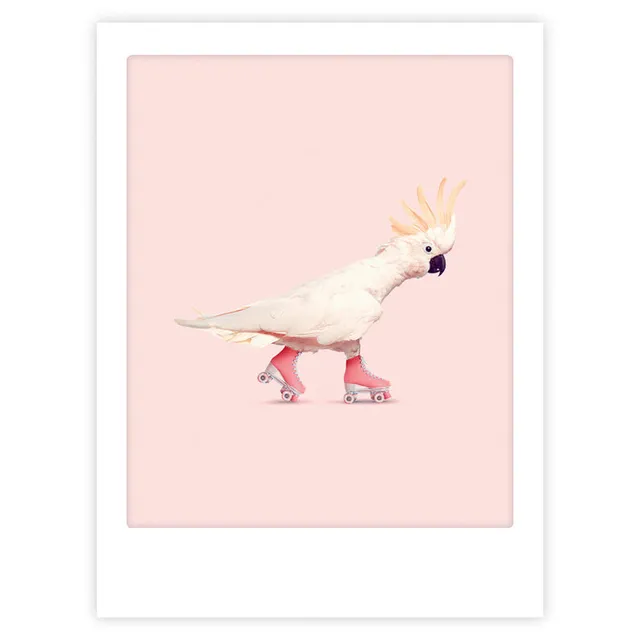pickmotion-rock-n-roll-birdy-art-poster-mit-echtglas-rahmen image 1