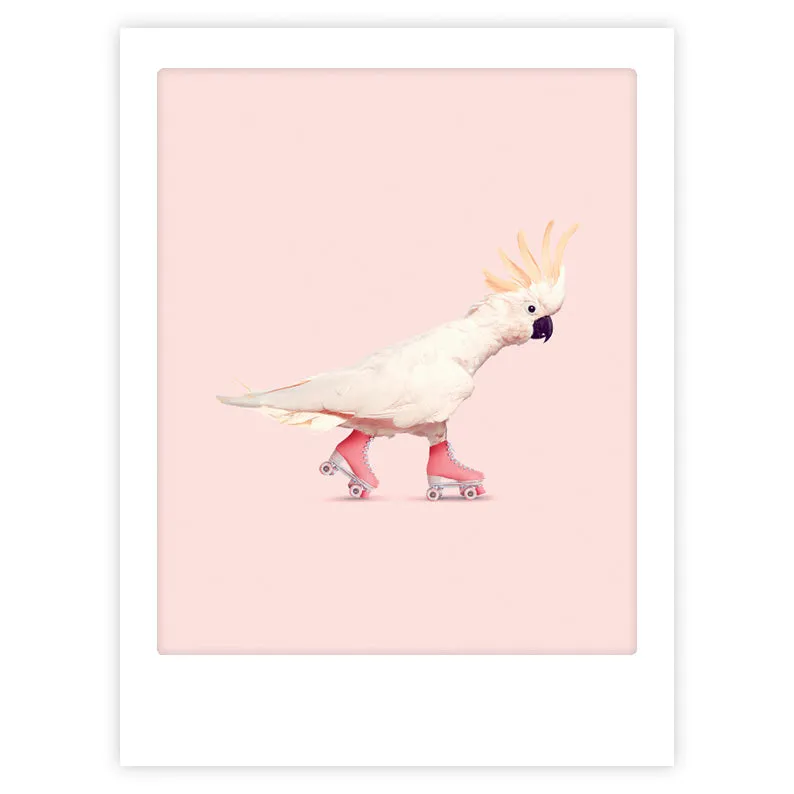 pickmotion-rock-n-roll-birdy-art-poster-mit-echtglas-rahmen image 1