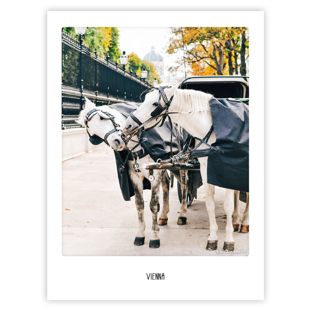 pickmotion-art-poster-white-horses-in-vienna-mit-echtglas-rahmen image 1