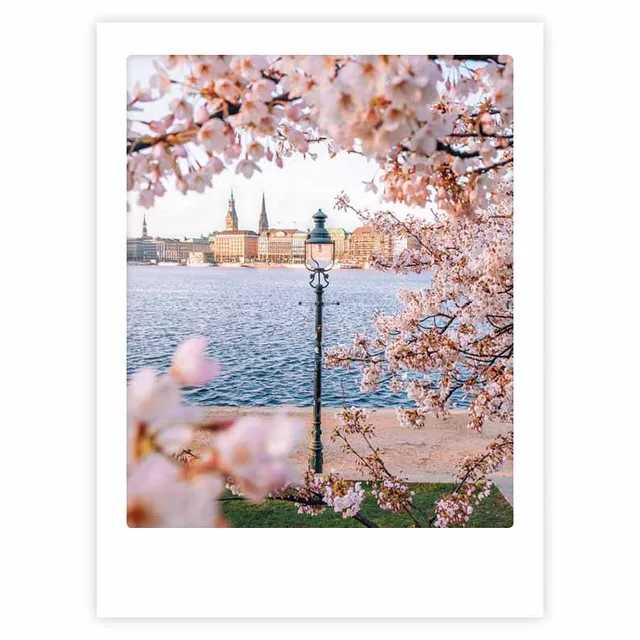 pickmotion-hamburg-in-bloom-art-poster-mit-echtglas-rahmen image 1
