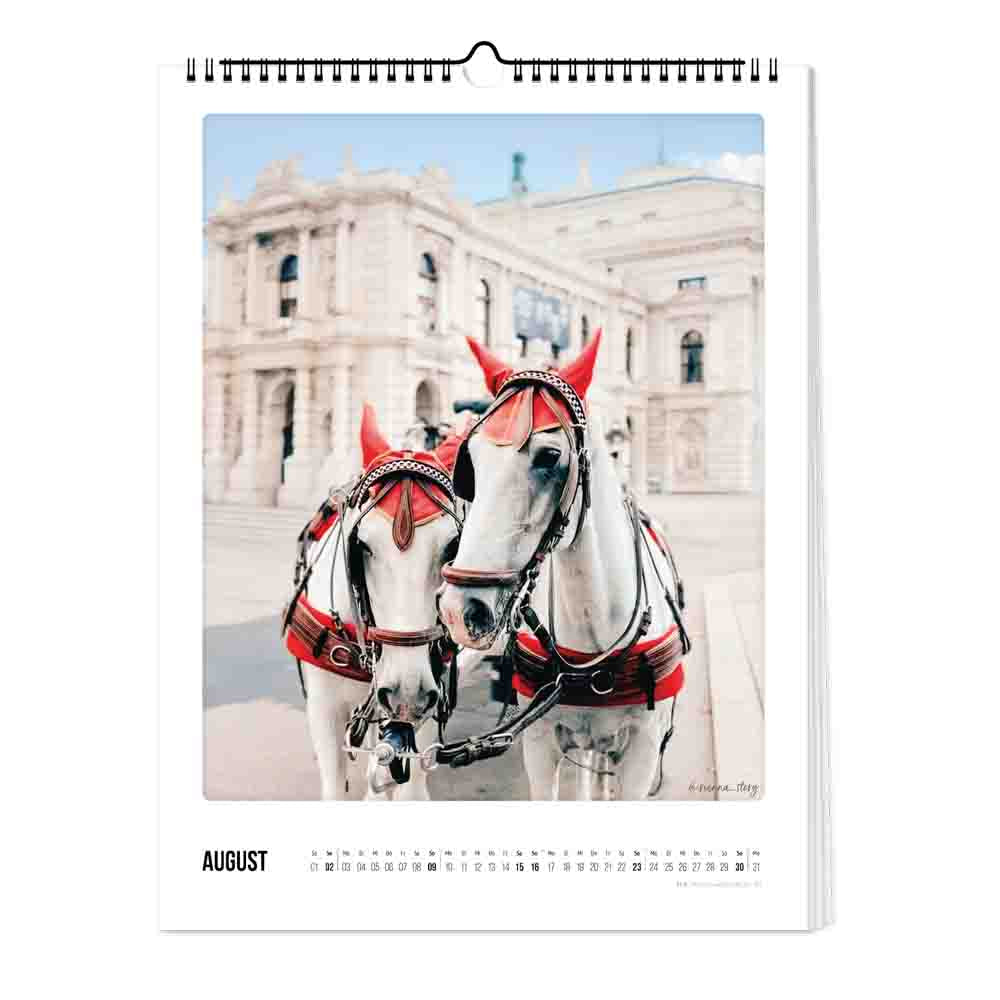 pickmotion-wien-wandkalender-2026-30x40cm image 3