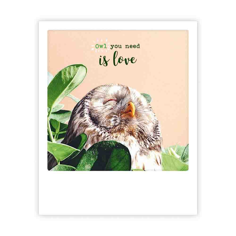 pickmotion-owl-you-need-is-love-postkarte-sofortbild-stil image 1