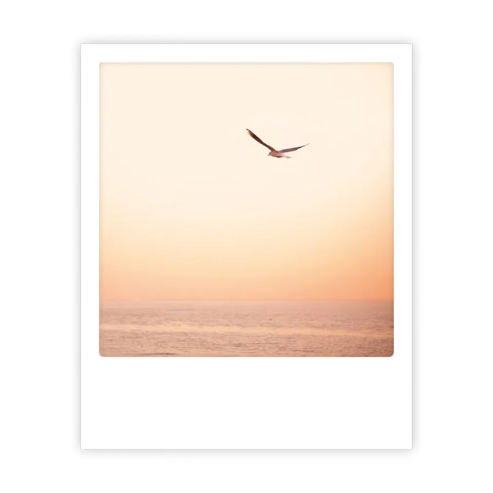 pickmotion-sunset-wings-postkarte-sofortbild-foto-motivkarte image 1