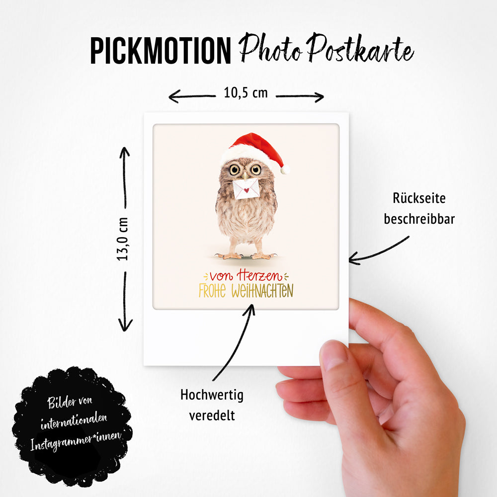 pickmotion-weihnachtsmagie-8er-postkarten-set-10-5-x-13-cm image 4