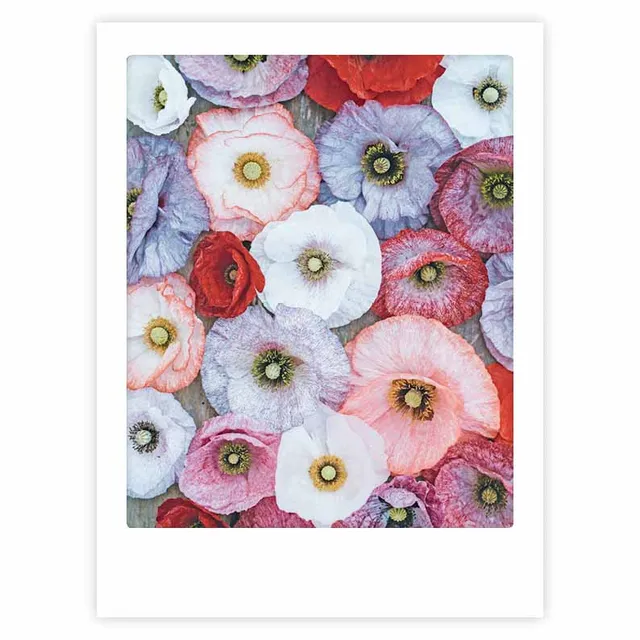 pickmotion-blossom-together-art-poster-mit-echtglas-rahmen image 1
