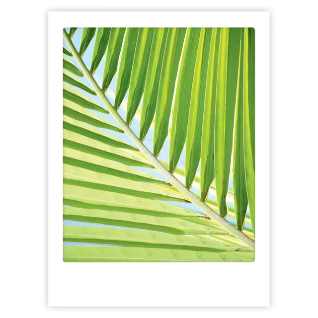pickmotion-art-poster-summer-time-mit-echtglas-rahmen image 1