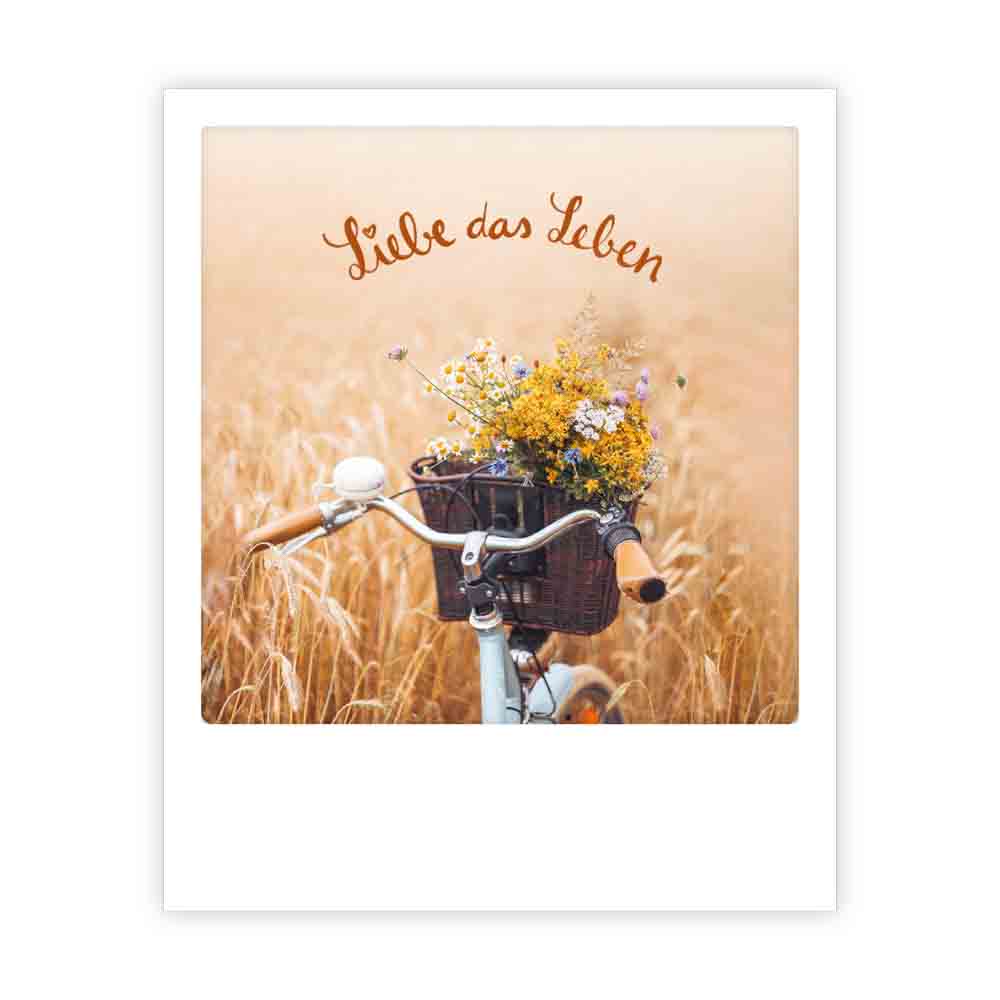 pickmotion-postkarte-liebe-das-leben-fahrrad-einzelmotiv image 1