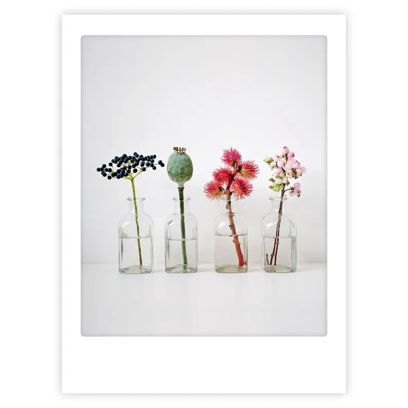 pickmotion-beautiful-blossoms-art-poster-mit-echtglas-rahmen image 1