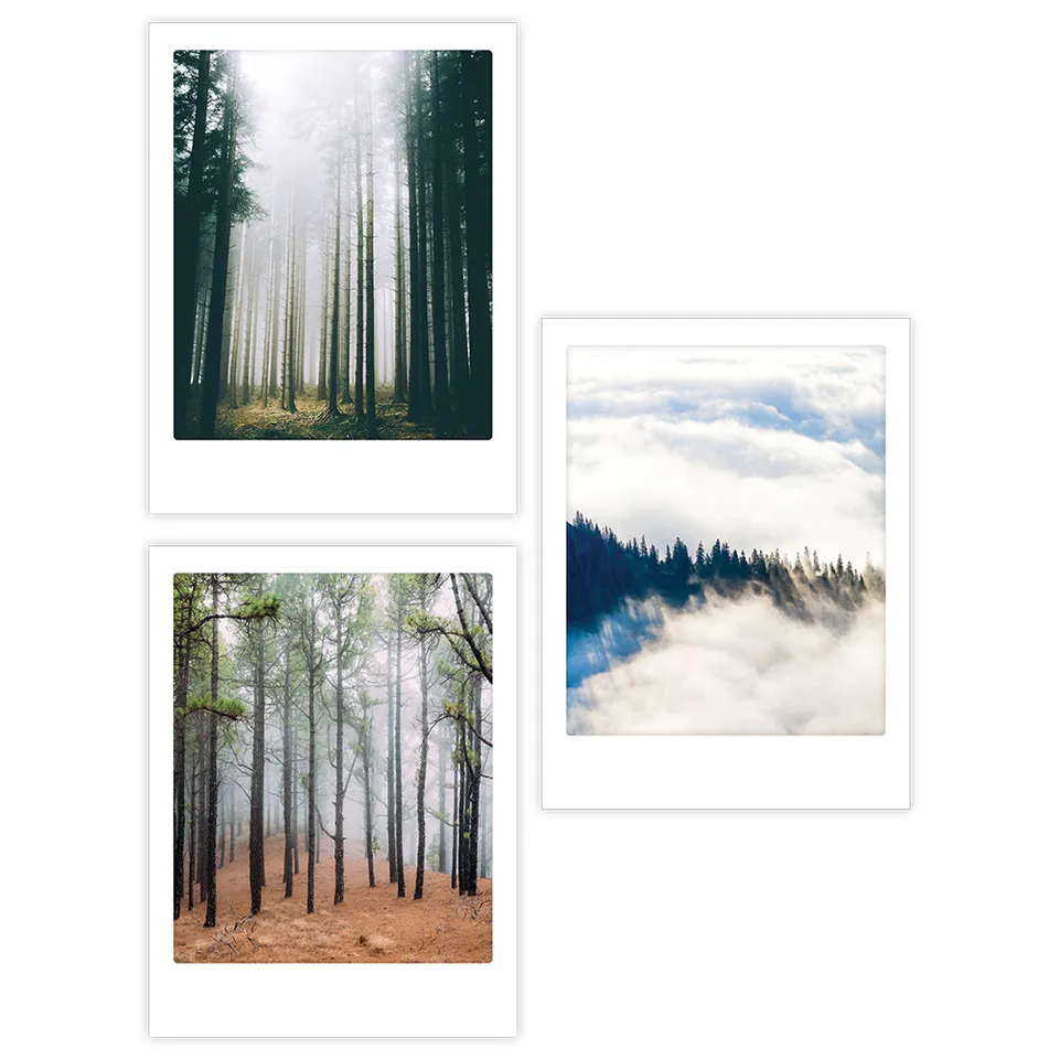 pickmotion-forrest-feelings-3er-artposter-set-mit-rahmen image 1