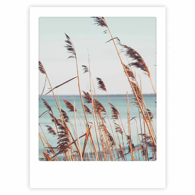 pickmotion-reed-grass-beach-art-poster-mit-echtglas-rahmen image 1