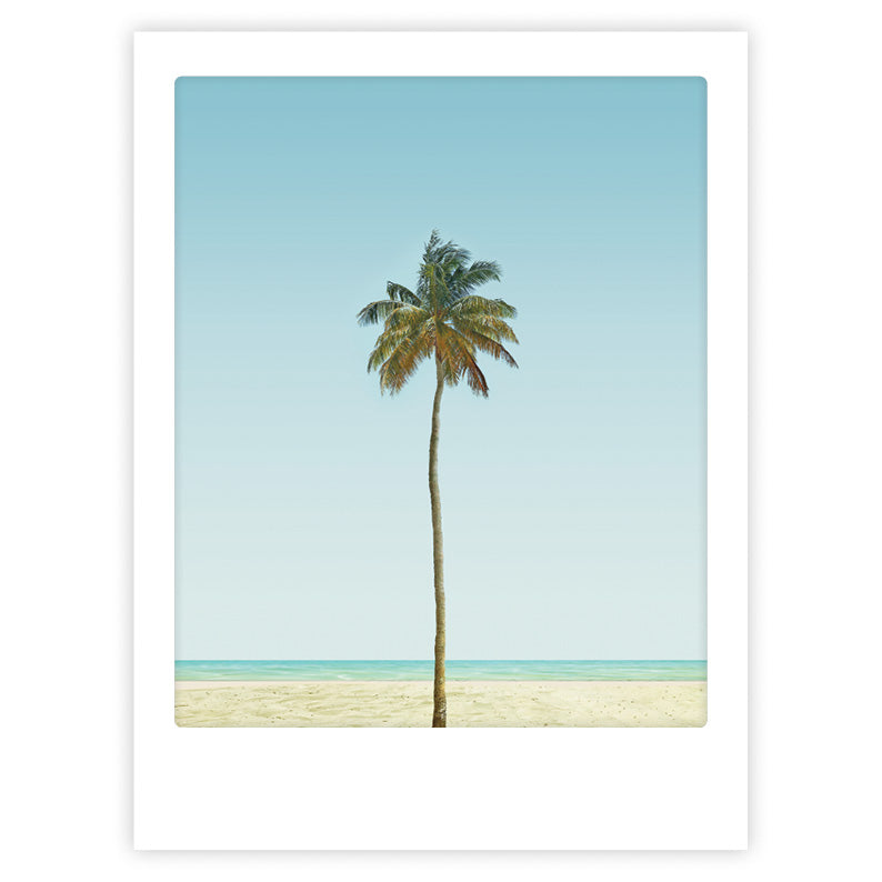 pickmotion-palm-tree-art-poster-mit-echtglas-rahmen image 1
