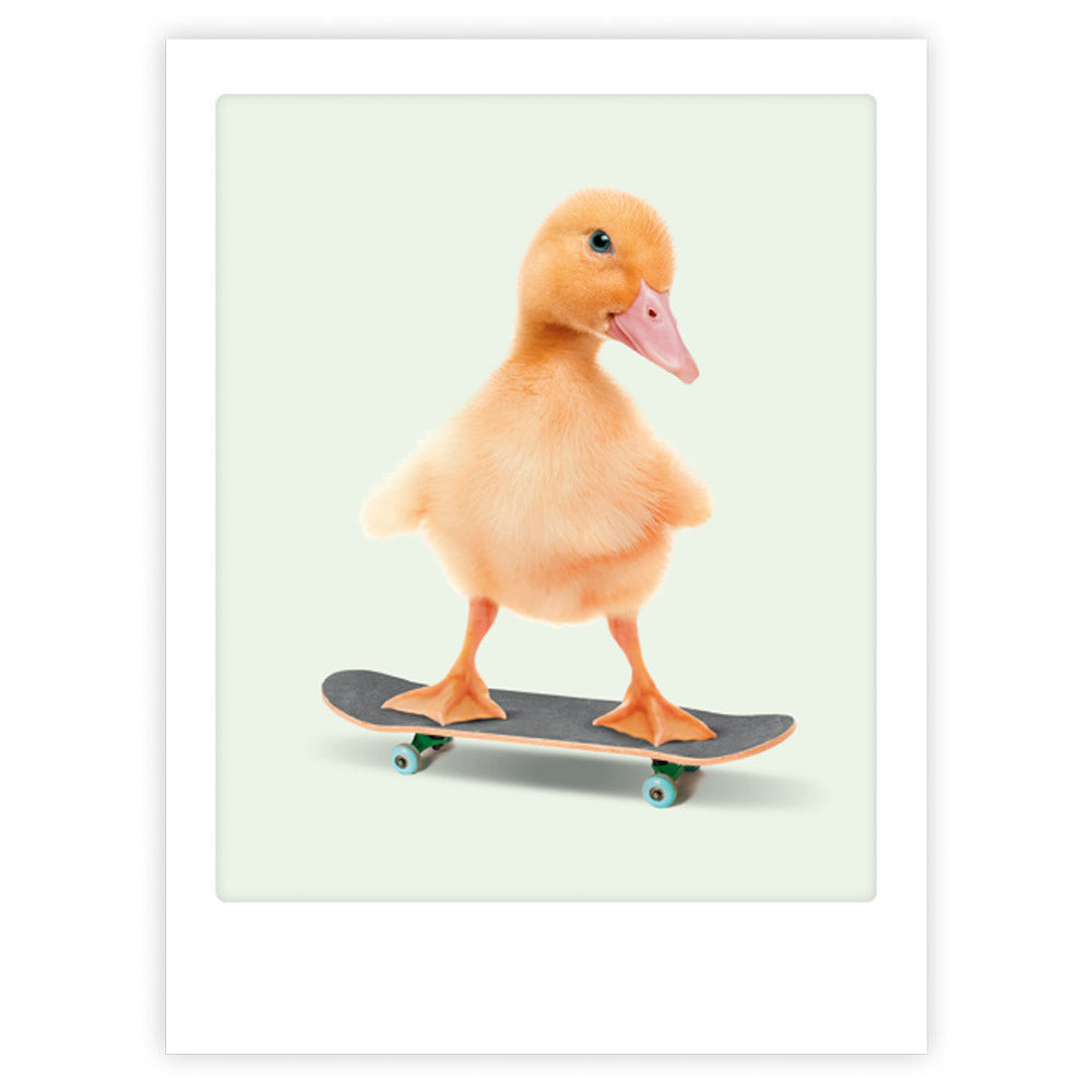 pickmotion-skateboarding-baby-duck-art-poster-echtglas image 1