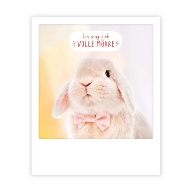 pickmotion-postkarte-ich-mag-dich-volle-m-hre image 1