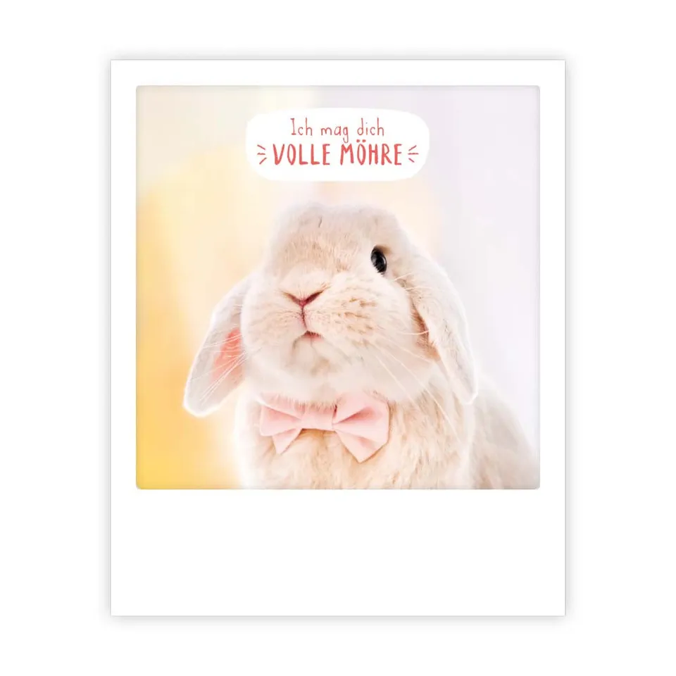 pickmotion-postkarte-ich-mag-dich-volle-m-hre image 1
