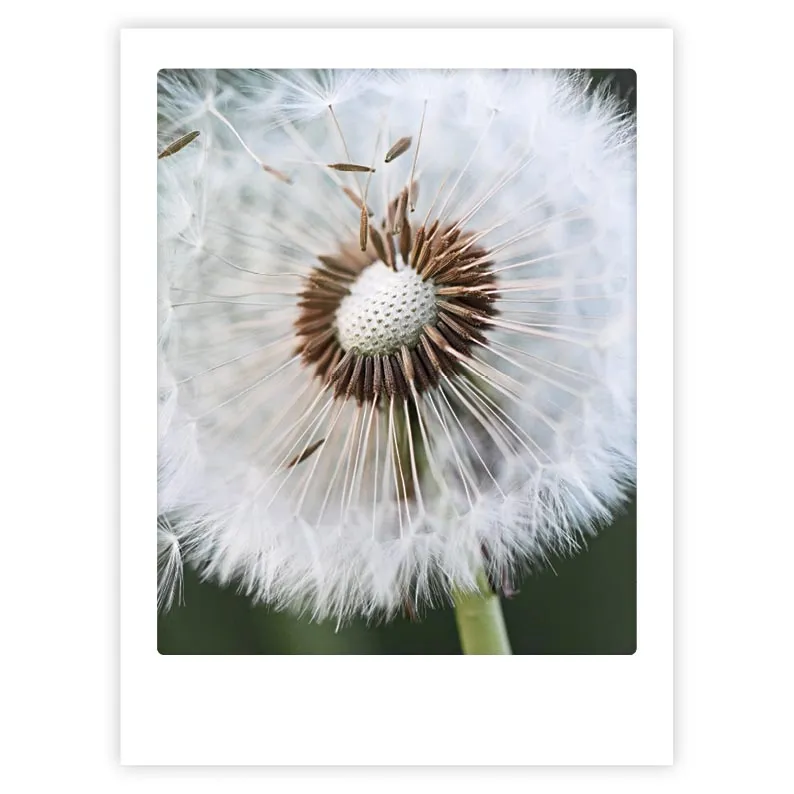 pickmotion-art-poster-take-a-wish-mit-echtglas-rahmen image 1