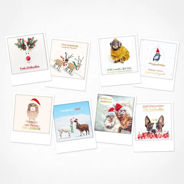 pickmotion-weihnachtsmagie-8er-postkarten-set-10-5-x-13-cm image 1