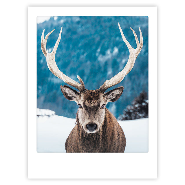 pickmotion-art-poster-deer-winter image 1
