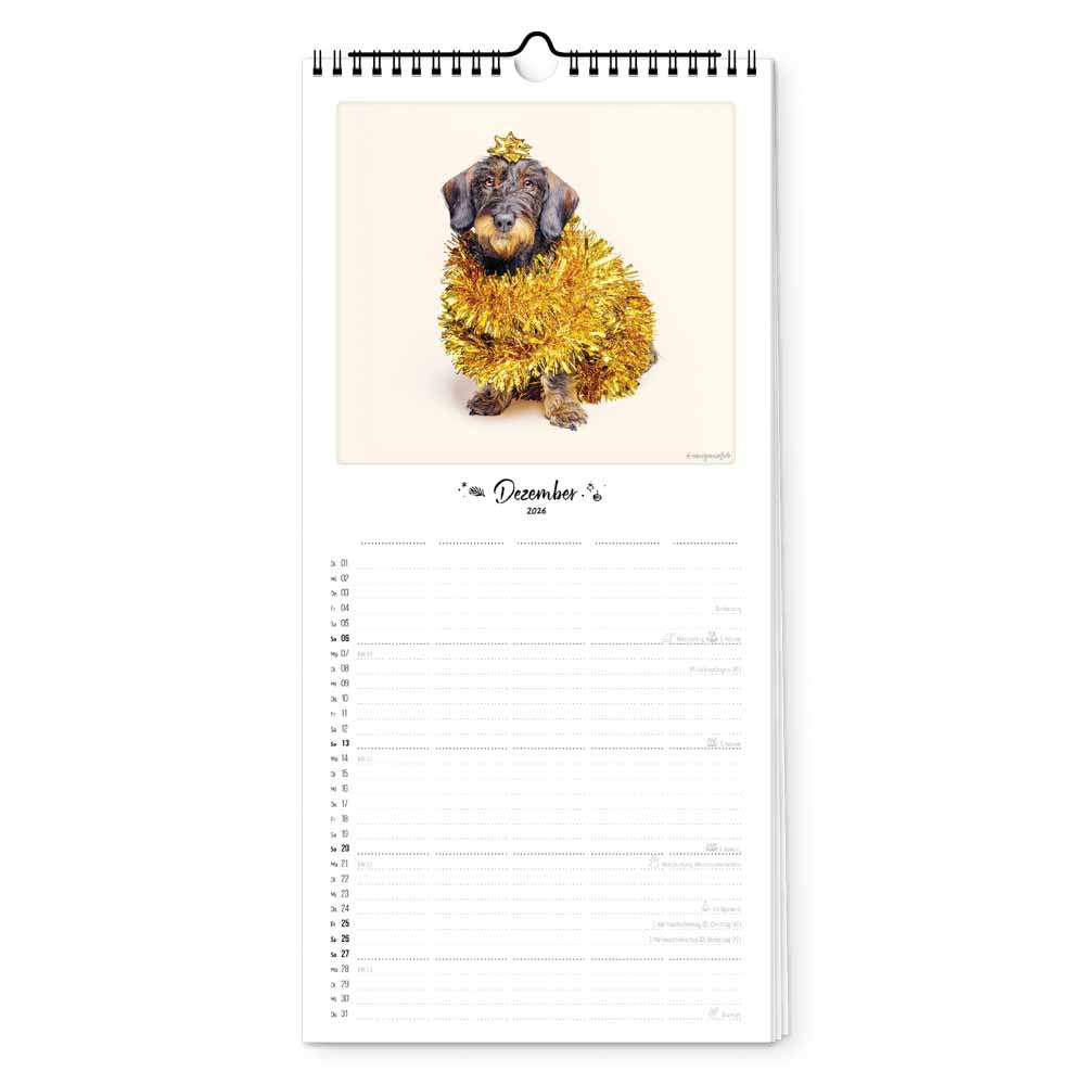 pickmotion-bunter-hund-familienplaner-2026-20x42 image 3