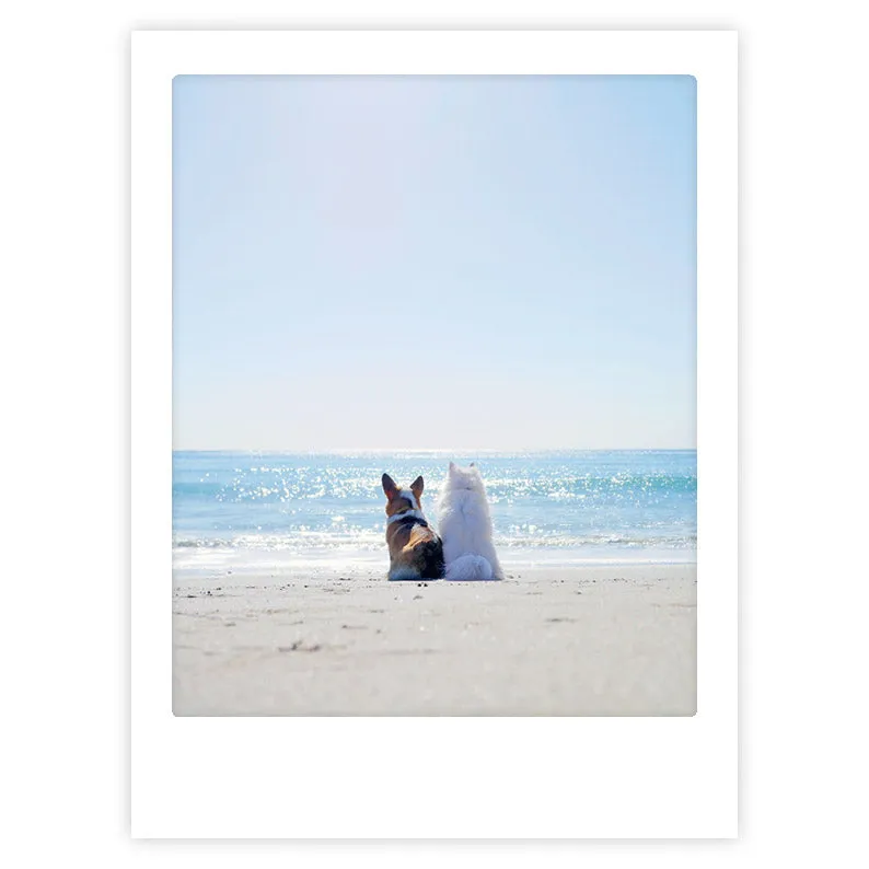 pickmotion-beach-buds-art-poster-mit-echtglas-rahmen image 1